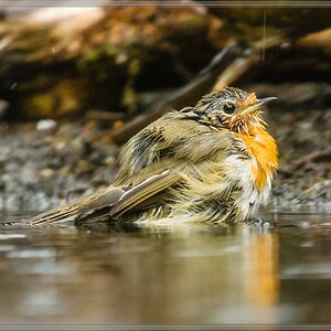 20150816 4055 [NIKON 1 V3] 300 mm,1 200 Sek. bei ƒ   4,0