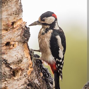 20150816 5004 [NIKON D4] 600 mm,1 100 Sek. bei ƒ   4,0
