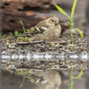 20150816 5194 [NIKON D4] 600 mm,1 500 Sek. bei ƒ   4,0