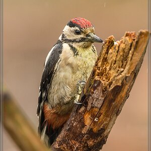20150816 5288 [NIKON D4] 600 mm,1 400 Sek. bei ƒ   5,6