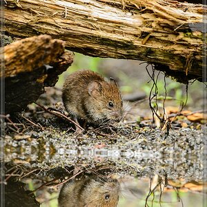 20150816 5429 [NIKON D4] 600 mm,1 320 Sek. bei ƒ   5,6