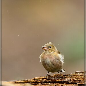 20150816 5438 [NIKON D4] 600 mm,1 800 Sek. bei ƒ   5,6