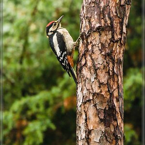 20150816 3943 [NIKON 1 V3] 300 mm,1 320 Sek. bei ƒ   4,0