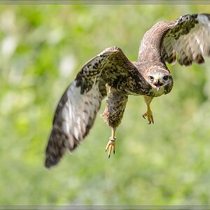 20150822 8650 [NIKON D4] 300 mm,1 1250 Sek. bei ƒ   5,0