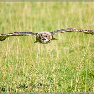 20150822 9047 [NIKON D4] 300 mm,1 1250 Sek. bei ƒ   4,0