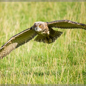 20150822 9082 [NIKON D4] 300 mm,1 1250 Sek. bei ƒ   4,0