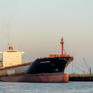 TZ ZIM 6649
