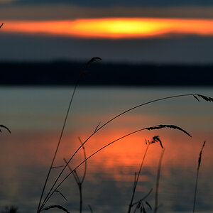 DSC 6725 Stille