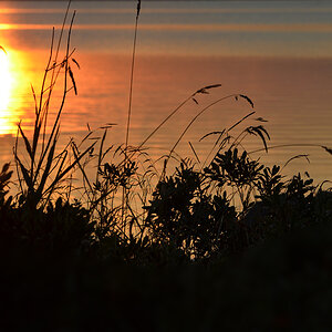 DSC 6733 Stille