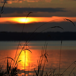 DSC 6730 Stille