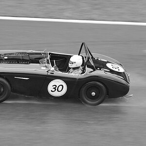 AUSTIN HEALEY