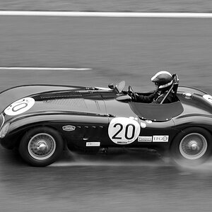 Jaguar C Type