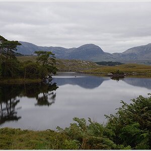 paddyland1