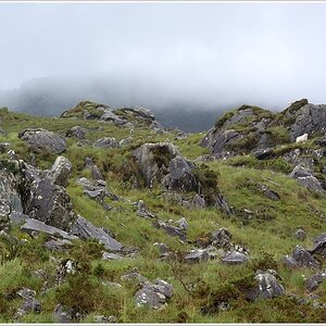 DSC 6365