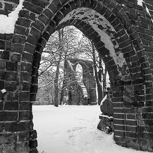Eldena Winter sw