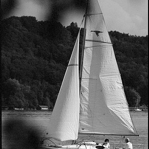 Sommer 2015 Starnberg 4