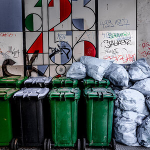 Trash (1 von 1)