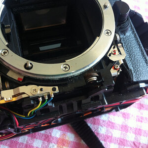 Foto 7