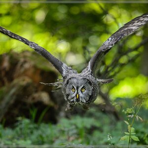 20150822 7876 [NIKON D4] 300 mm,1 320 Sek. bei ƒ   4,0