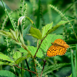 DSC 4784 01