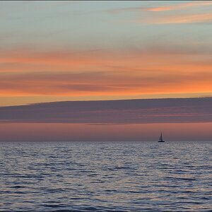 comp DSC 2021