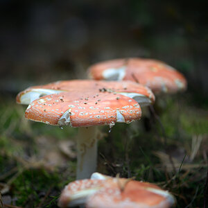 20151003 153548