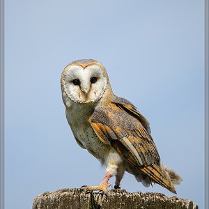 20150822 7571 [NIKON D4] 300 mm,1 1250 Sek. bei ƒ   4,0