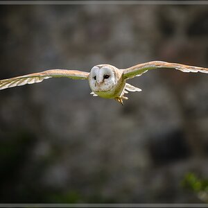 20150822 7619 [NIKON D4] 300 mm,1 1250 Sek. bei ƒ   4,0