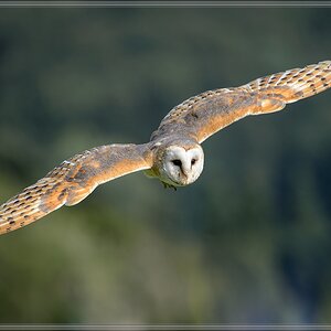 20150822 6715 [NIKON D4] 300 mm,1 1250 Sek. bei ƒ   4,0