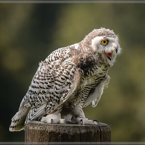 20150822 9277 [NIKON D4] 300 mm,1 1250 Sek. bei ƒ   4,0