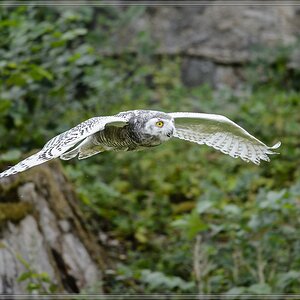 20150822 6501 [NIKON D4] 300 mm,1 1250 Sek. bei ƒ   4,0