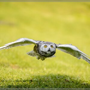 20150822 9355 [NIKON D4] 300 mm,1 1250 Sek. bei ƒ   4,0