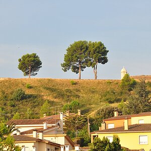DSC 2342