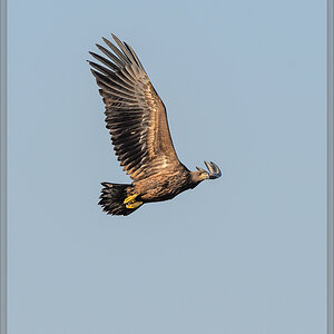 20151004 0729 [NIKON D4] 500 mm,1 2000 Sek. bei ƒ   6,3