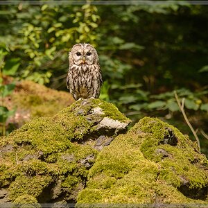 20150822 8291 [NIKON D4] 165 mm,1 800 Sek. bei ƒ   5,6