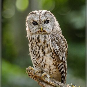 20150822 8210 [NIKON D4] 400 mm,1 500 Sek. bei ƒ   5,6