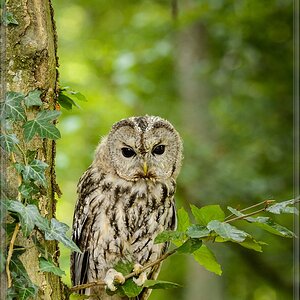 20150822 8244 [NIKON D4] 180 mm,1 125 Sek. bei ƒ   5,6