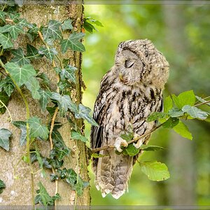 20150822 8245 [NIKON D4] 180 mm,1 160 Sek. bei ƒ   5,6
