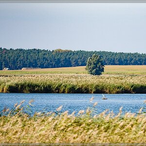 20151002 2752 [E M5MarkII] 150 mm,1 5000 Sek. bei ƒ   2,8
