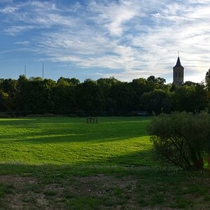 17mm Pano zyl DSI 2993 klein