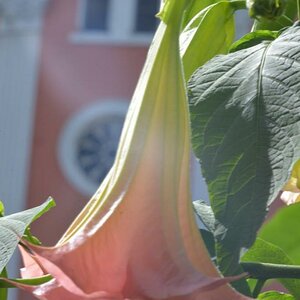 1/30sec ISO 200 Freihand unbearbeitet