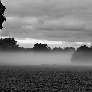 D3H 0148 web