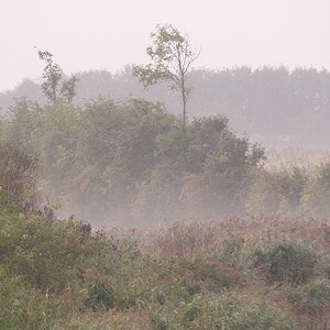 KR DSC 4045