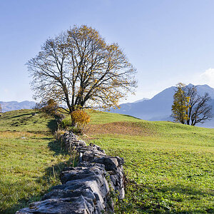 IMG6489 01