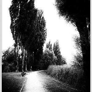 Uferweg auf der Reichenau