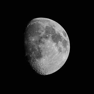 Mond