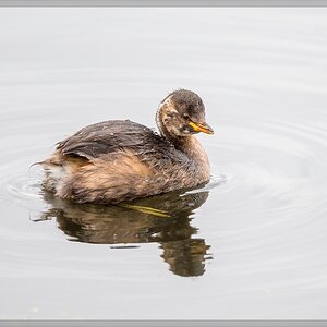 20150920 7328 [NIKON D810] 500 mm,1 500 Sek. bei ƒ   4,0