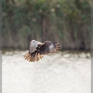 20150920 7604 [NIKON D810] 500 mm,1 1000 Sek. bei ƒ   4,0