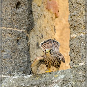 20150822 6461 [NIKON D4] 300 mm,1 160 Sek. bei ƒ   5,0