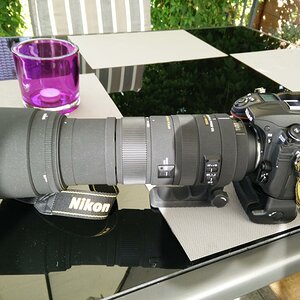 Nikon D300 mit MB D-10 und Sigma 150-500mm DG OS HSM